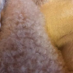 Meet your Posher, Phillip